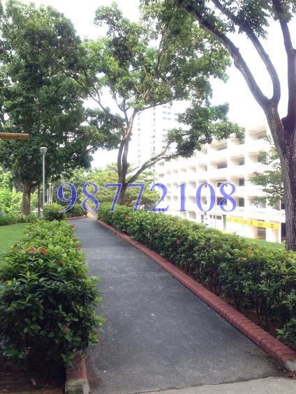 Blk 54 Telok Blangah Drive (Bukit Merah), HDB 3 Rooms #176059902